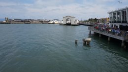 San Francisco Bay & Pier 39