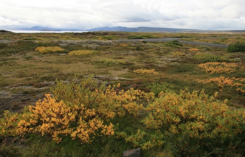 The scenic Icelandic landscape