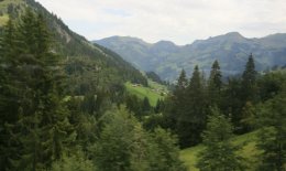View from Golden Pass train in central Switzerland