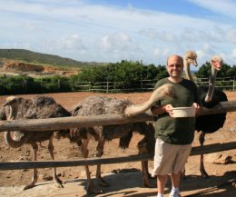Me feeding the ostriches in Aruba