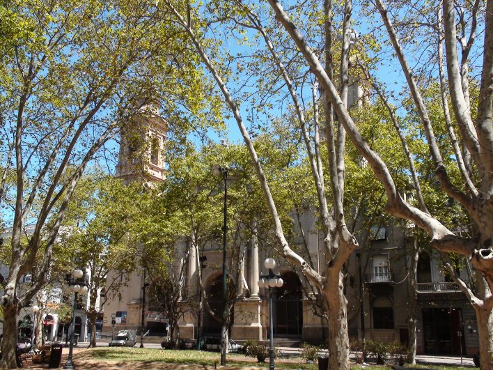 Constitucion Square, Metropolitan Basilica can be seen behind the trees