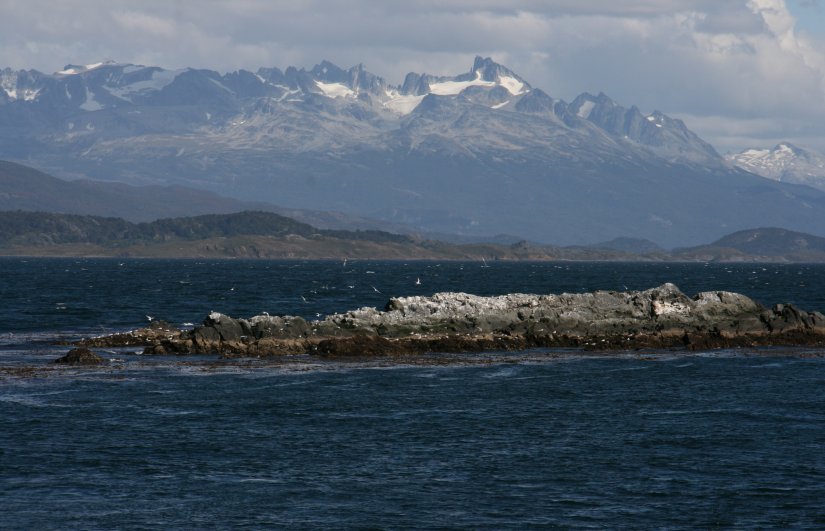 Imperial cormorants on the small islands of the Beagle Channel