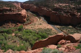 Long Canyon along the Burr Trail in the Grand Staircase-Escalante National Monument