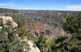 Bright Angel Point along North Rim of the Grand Canyon