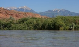 The La Sal Mountains from the Colorado River