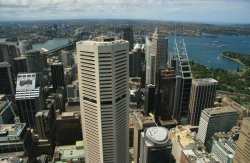 From atop Sydney Tower