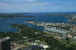 From atop Sydney Tower