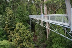 Tahune Air Walk
