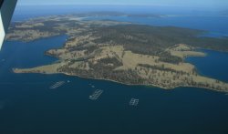 Bruny Island