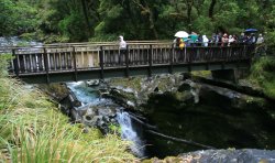The Chasm
