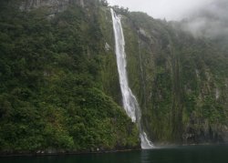 Stirling Falls at Milford Sound