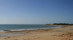 Torquay