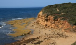 Bells Beach