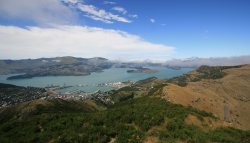 Lyttelton Harbour