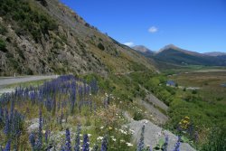 Arthurs Pass National Park