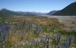 Arthurs Pass National Park