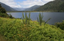 Lake Moeraki