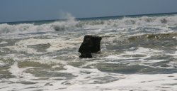 Tasman Sea @ Ship's Creek
