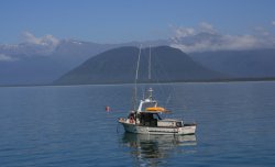 Jackson bay