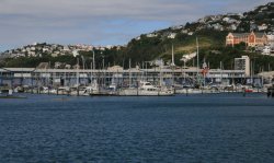 Wellington Harbour