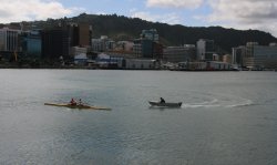 Wellington Harbour