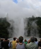 Lady Knox Geyser
