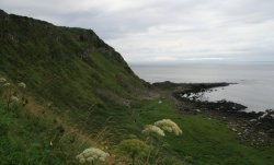 The Giant's Causeway