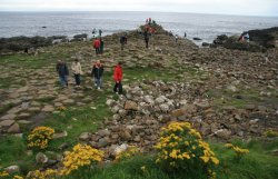 The Giant's Causeway