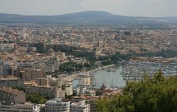 View from Bellver Castle