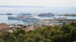 View from Bellver Castle