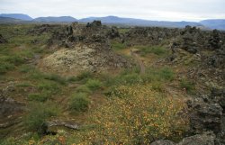 Lava Formations