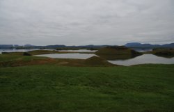 Sktustaaggar