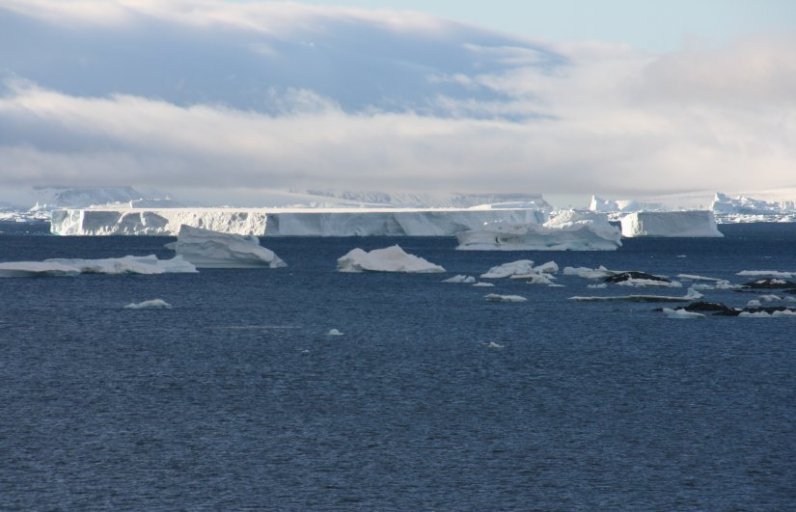 Iceberg Alley