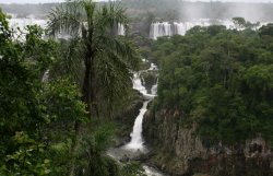 View of Iguassu Falls from the Brazilian side
