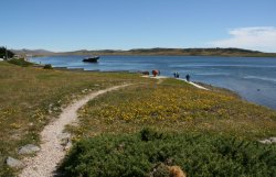Stanley Harbour