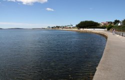 Walk along Stanley Harbour