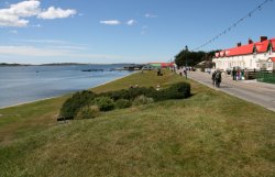 Victory Green along Stanley Harbour