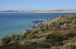 Gypsy Cove in the Falkland Islands