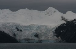 Elephant Island