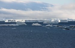 Iceberg Alley