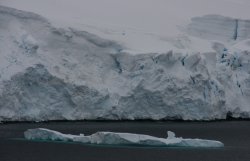 Glaciers in the Neumayer Channel of Antarctica