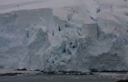 Glaciers in the Neumayer Channel of Antarctica