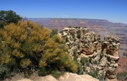 Moran Point on the South Rim of the Grand Canyon