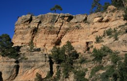 California Condor from the Bright Angel Trail on the South Rim of the Grand Canyon