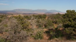 La Sal Mountains from Utah Highway #313