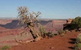 Dead Horse Point State Park
