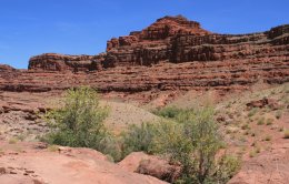 Nature hike along Colorado River