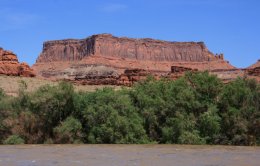Canyonlands National Park from Colorado River