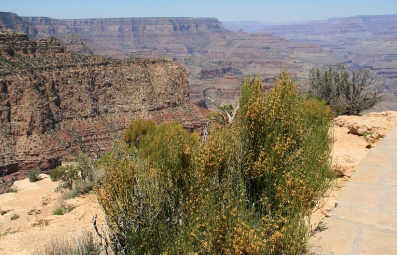 Moran Point on the South Rim of the Grand Canyon