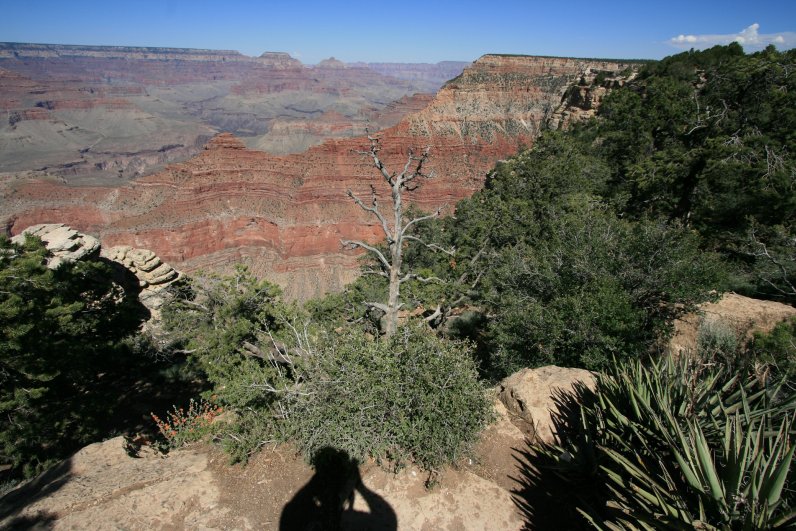 View from the Rim Walk on the South Rim of the Grand Canyon